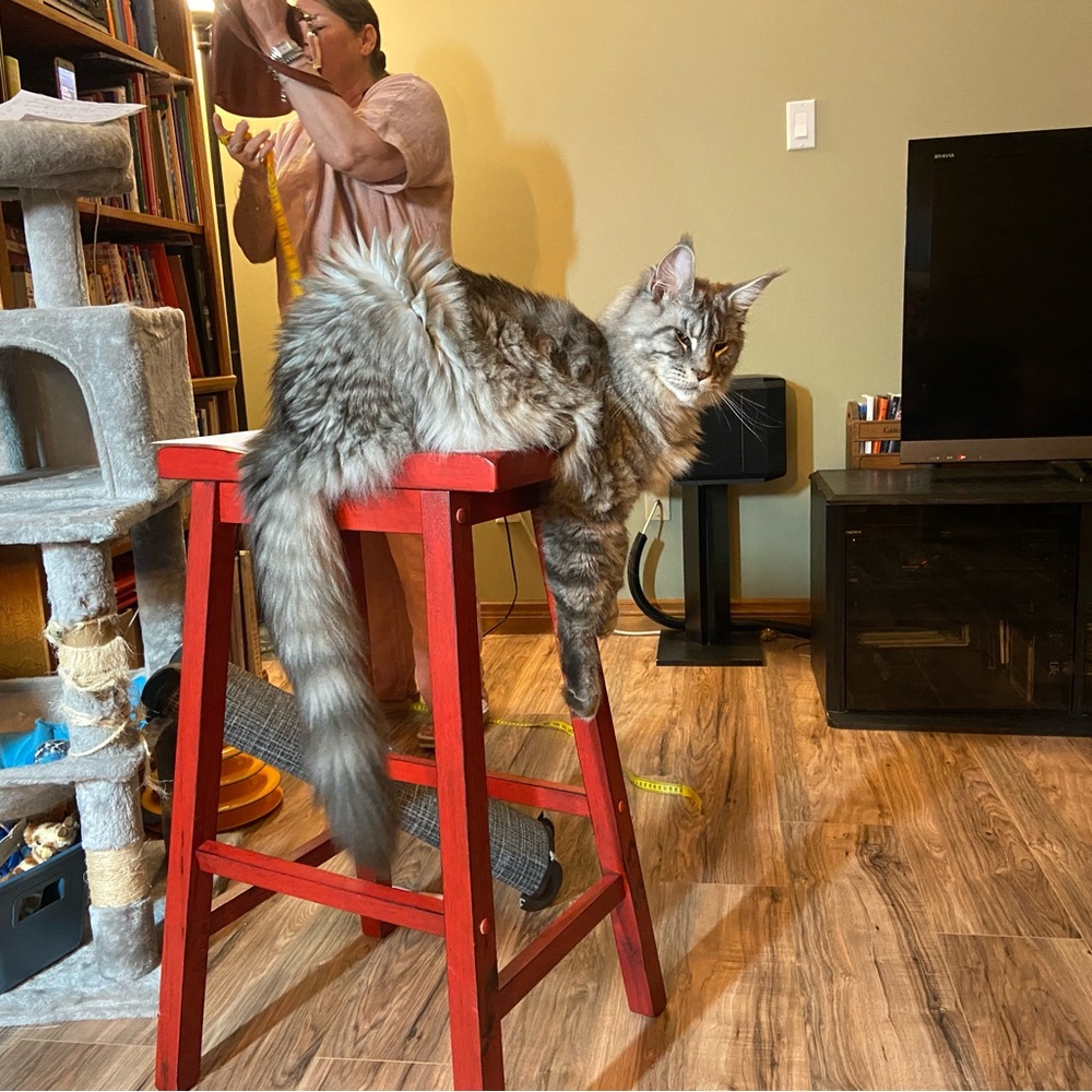 Private listing for @laurahansen64 Bundle 2